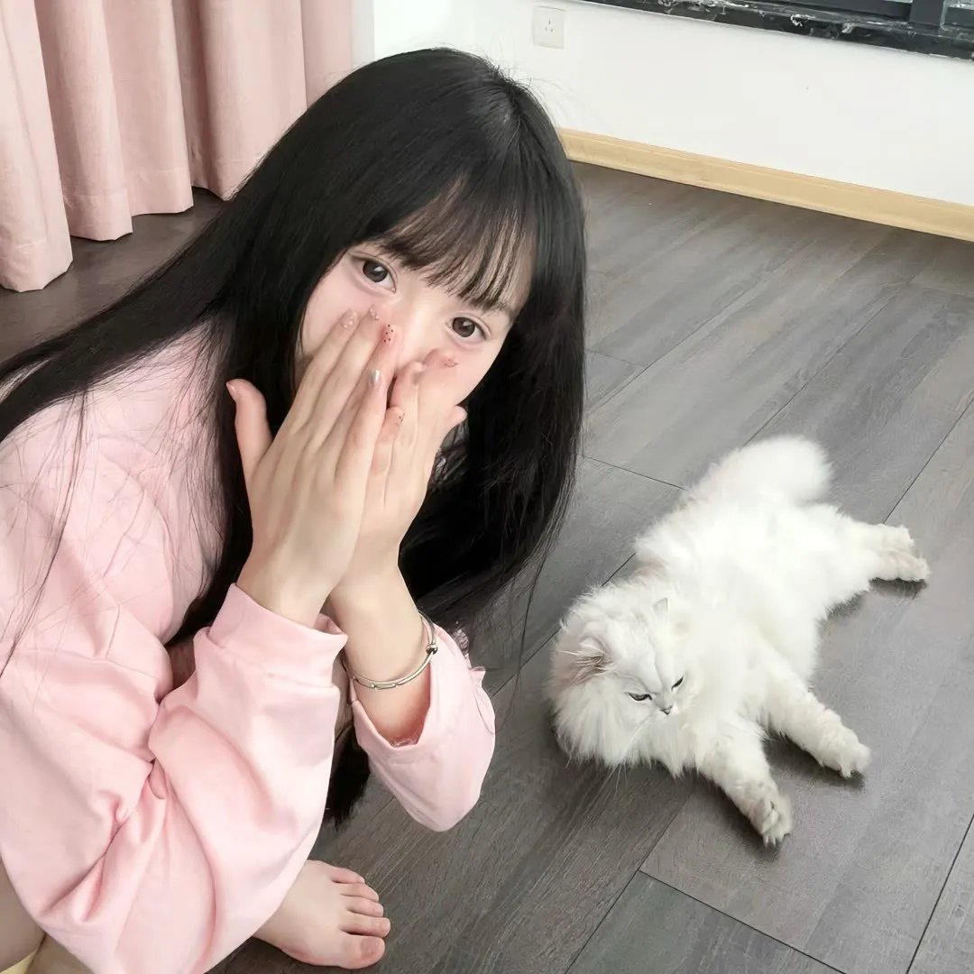 惊盗乱点
